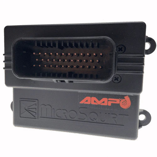 AMP’d MicroSquirt ECU